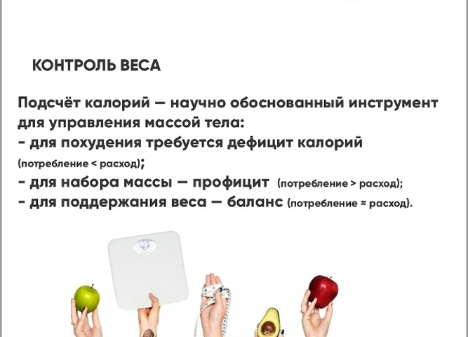 Популяризация подсчёта калорий