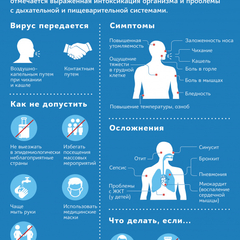 Коронавирусная инфекция (COVID-19). Что важно знать.